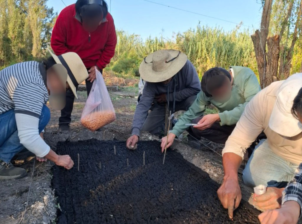 Iniciativa agroecológica Xochimilco – Centro de capacitación chinampa escuela