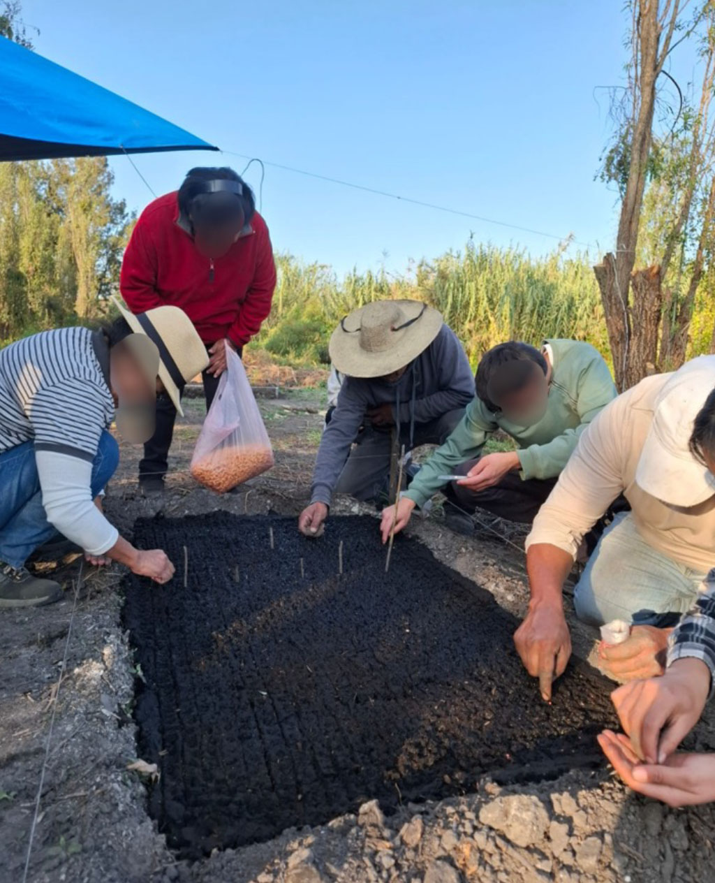 Iniciativa agroecológica Xochimilco – Centro de capacitación chinampa escuela